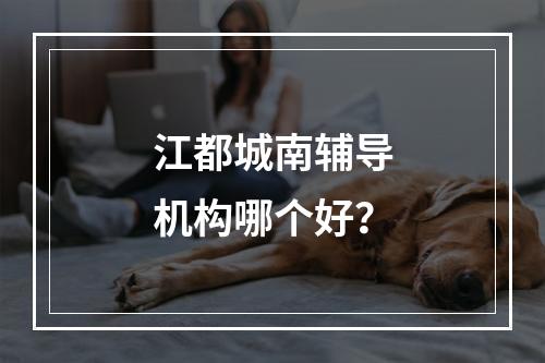 江都城南辅导机构哪个好？