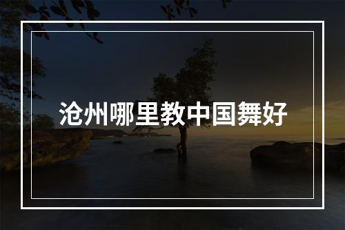 沧州哪里教中国舞好