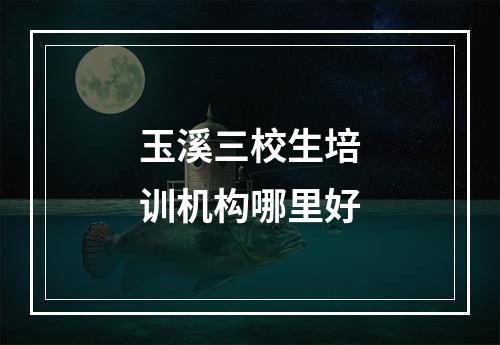 玉溪三校生培训机构哪里好