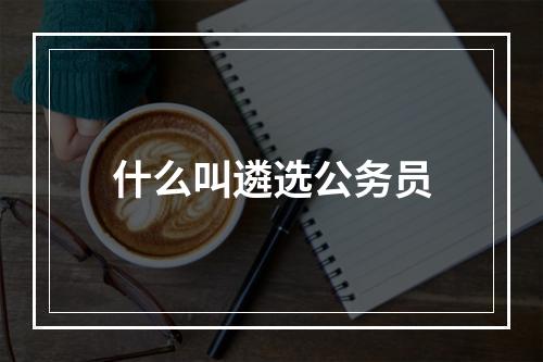 什么叫遴选公务员