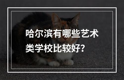 哈尔滨有哪些艺术类学校比较好？