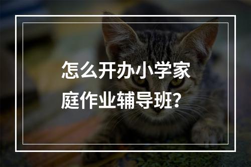 怎么开办小学家庭作业辅导班？