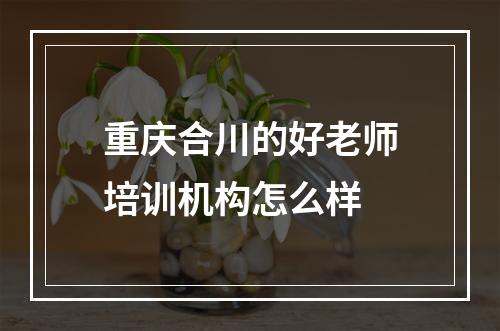 重庆合川的好老师培训机构怎么样