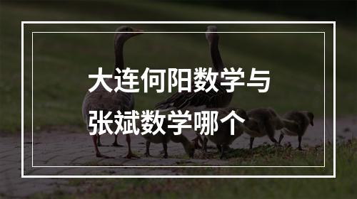 大连何阳数学与张斌数学哪个