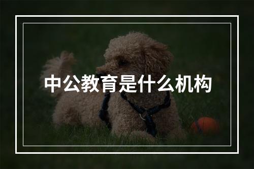 中公教育是什么机构