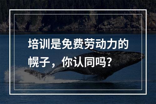 培训是免费劳动力的幌子，你认同吗？