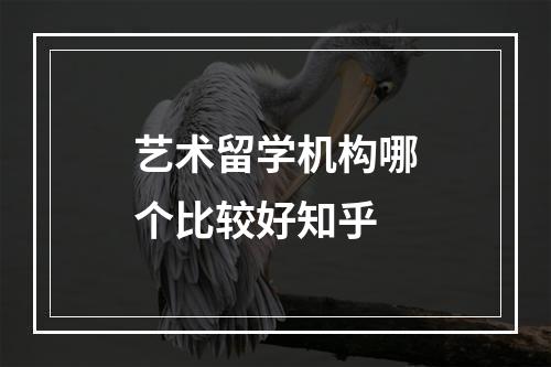 艺术留学机构哪个比较好知乎