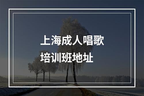 上海成人唱歌培训班地址