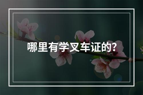 哪里有学叉车证的？