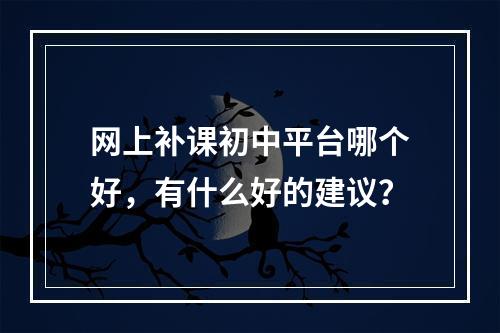 网上补课初中平台哪个好，有什么好的建议？