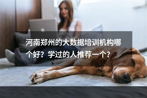 河南郑州的大数据培训机构哪个好？学过的人推荐一个？