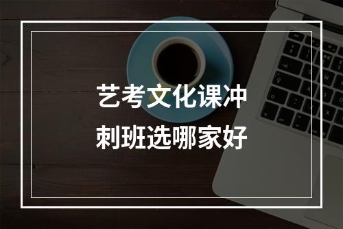 艺考文化课冲刺班选哪家好