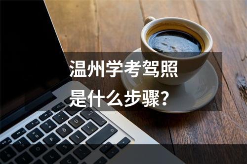 温州学考驾照是什么步骤？