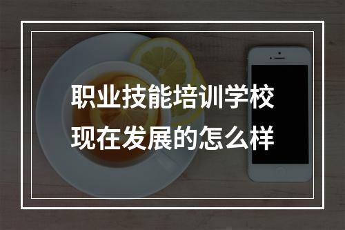 职业技能培训学校现在发展的怎么样