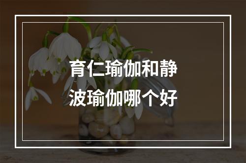 育仁瑜伽和静波瑜伽哪个好