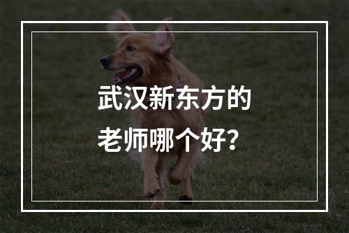 武汉新东方的老师哪个好？