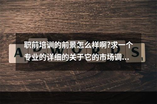 职前培训的前景怎么样啊?求一个专业的详细的关于它的市场调研报告！