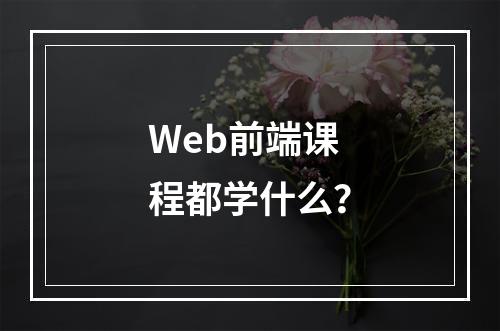 Web前端课程都学什么？