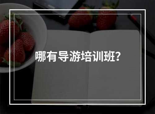 哪有导游培训班？