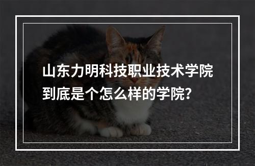 山东力明科技职业技术学院到底是个怎么样的学院？