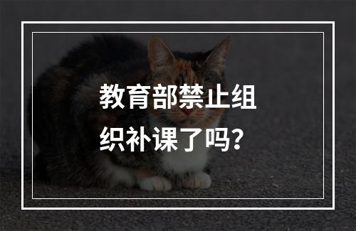 教育部禁止组织补课了吗？