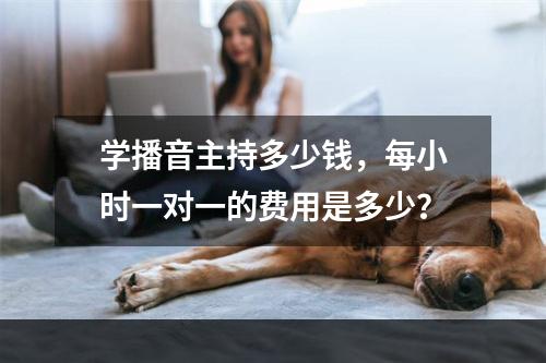 学播音主持多少钱，每小时一对一的费用是多少？