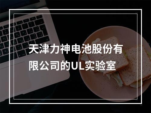 天津力神电池股份有限公司的UL实验室