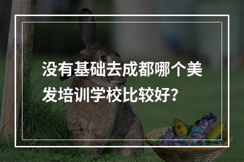 没有基础去成都哪个美发培训学校比较好？