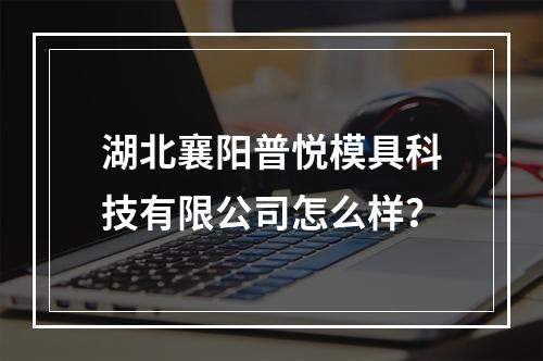 湖北襄阳普悦模具科技有限公司怎么样？