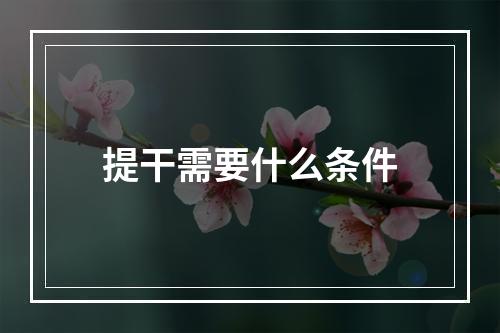 提干需要什么条件