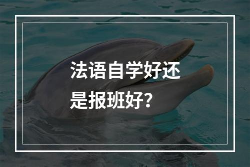 法语自学好还是报班好？