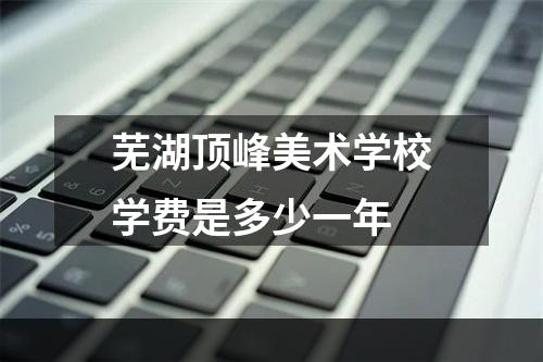 芜湖顶峰美术学校学费是多少一年