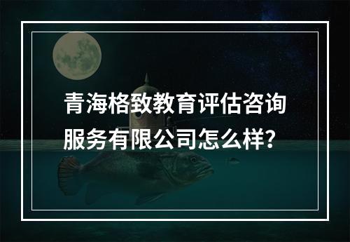 青海格致教育评估咨询服务有限公司怎么样？