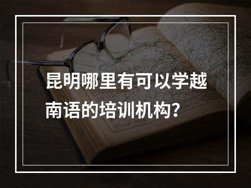 昆明哪里有可以学越南语的培训机构？