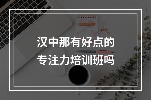 汉中那有好点的专注力培训班吗