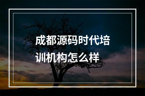 成都源码时代培训机构怎么样