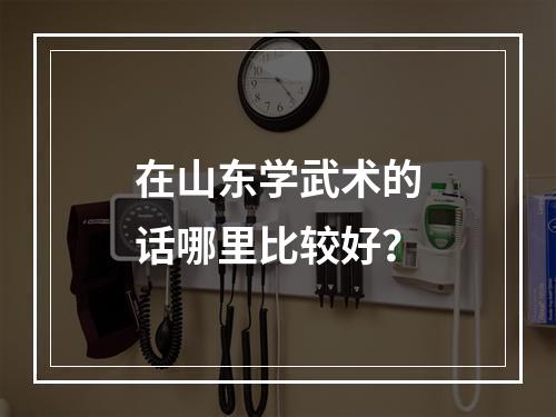 在山东学武术的话哪里比较好？