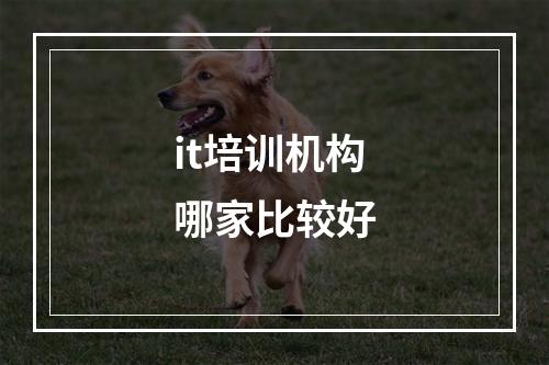 it培训机构哪家比较好