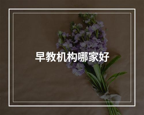 早教机构哪家好