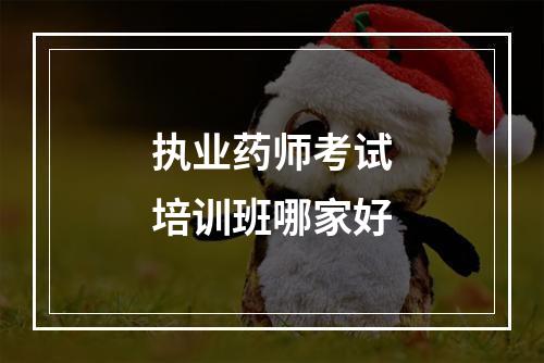 执业药师考试培训班哪家好