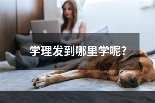 学理发到哪里学呢?