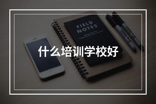 什么培训学校好