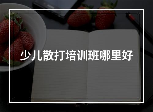 少儿散打培训班哪里好