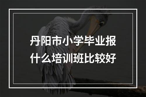 丹阳市小学毕业报什么培训班比较好