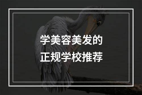 学美容美发的正规学校推荐