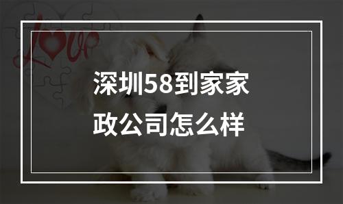 深圳58到家家政公司怎么样