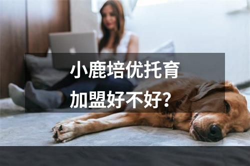 小鹿培优托育加盟好不好？