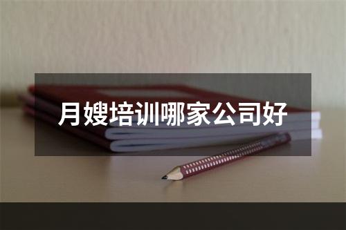 月嫂培训哪家公司好