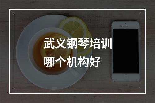 武义钢琴培训哪个机构好