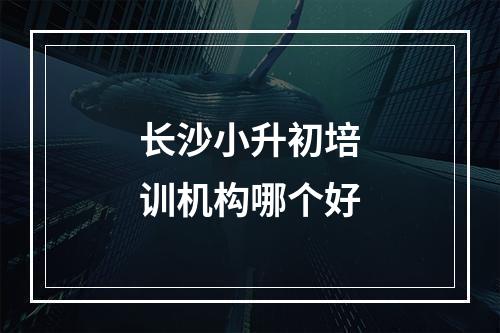 长沙小升初培训机构哪个好